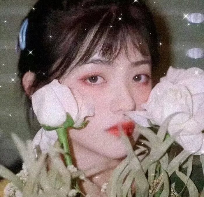 禁足少女罗曼史